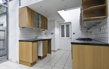 Doddington kitchen extension leads